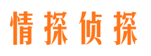 玄武侦探公司